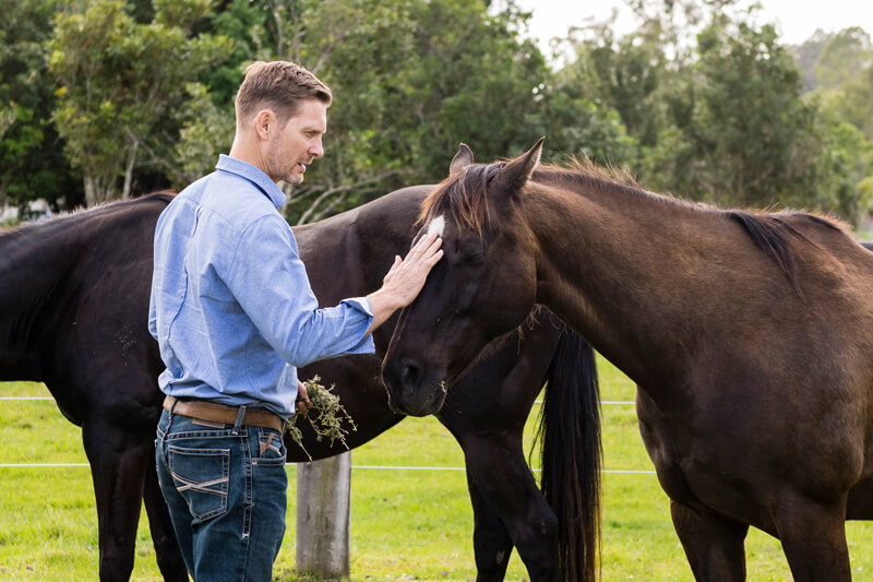 equine assisted learning